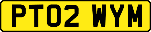 PT02WYM