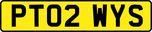 PT02WYS