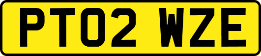 PT02WZE
