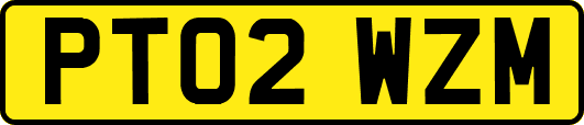 PT02WZM
