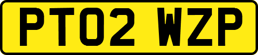 PT02WZP