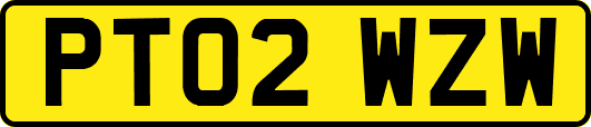PT02WZW
