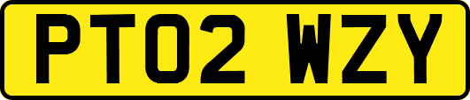 PT02WZY