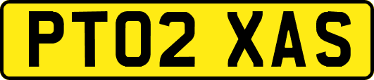 PT02XAS