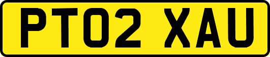 PT02XAU