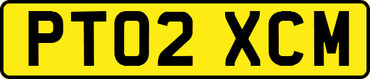 PT02XCM