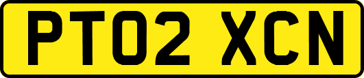 PT02XCN