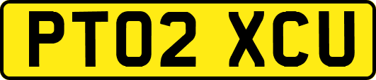 PT02XCU