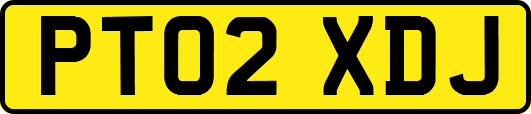 PT02XDJ