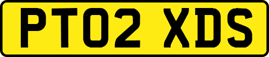PT02XDS