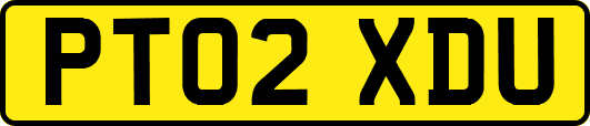 PT02XDU