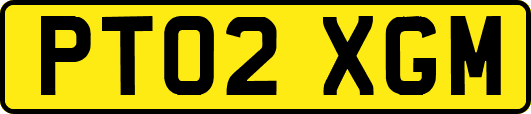 PT02XGM