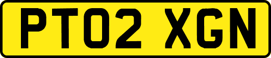 PT02XGN