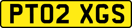 PT02XGS
