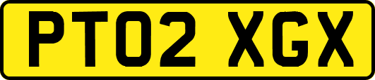 PT02XGX
