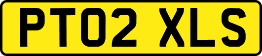 PT02XLS