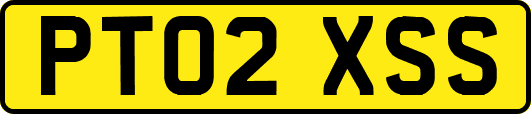 PT02XSS