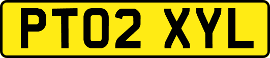 PT02XYL