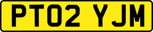 PT02YJM
