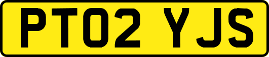 PT02YJS