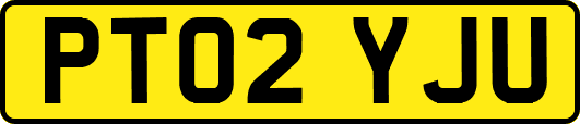 PT02YJU