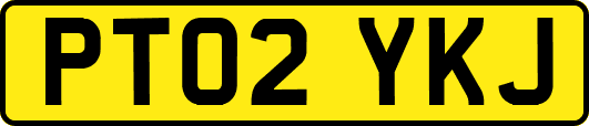 PT02YKJ