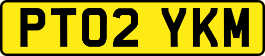 PT02YKM