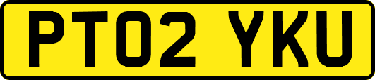 PT02YKU