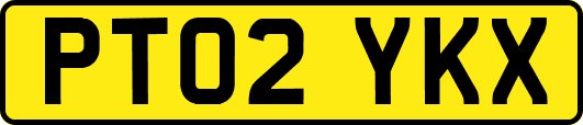 PT02YKX