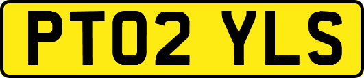 PT02YLS