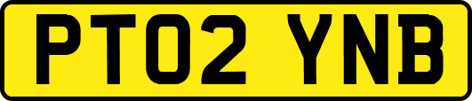PT02YNB