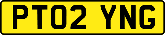 PT02YNG