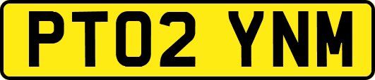 PT02YNM