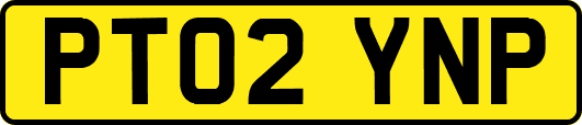 PT02YNP