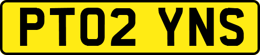 PT02YNS