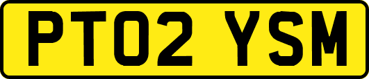 PT02YSM