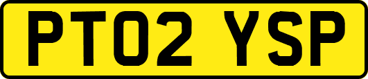 PT02YSP