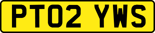PT02YWS