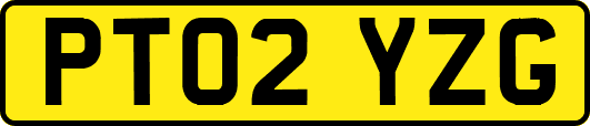 PT02YZG
