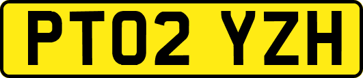 PT02YZH