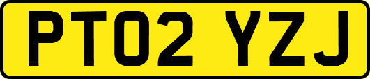 PT02YZJ
