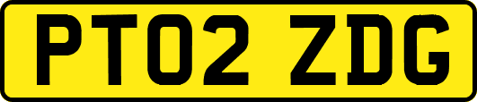 PT02ZDG