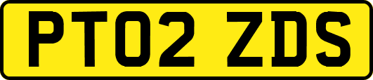 PT02ZDS