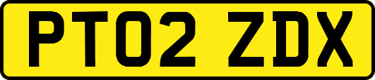 PT02ZDX