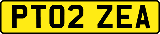 PT02ZEA