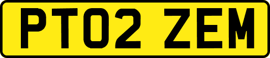 PT02ZEM