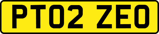 PT02ZEO