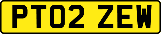 PT02ZEW