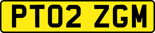 PT02ZGM