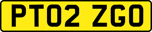 PT02ZGO